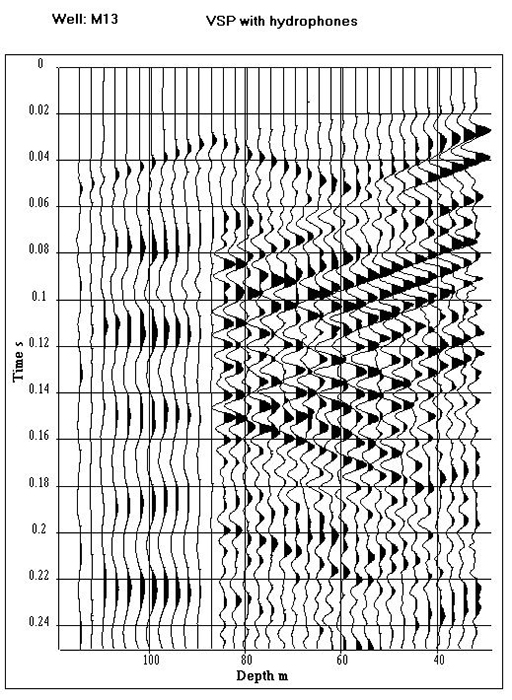 VSP with hydrophones Step 2/7
