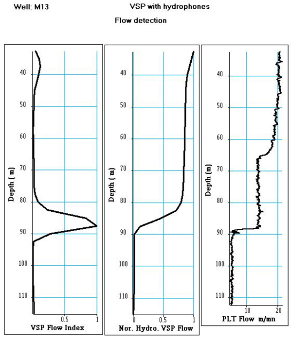 VSP flow index, Normalized VSP flow and PLT log Step 6/7